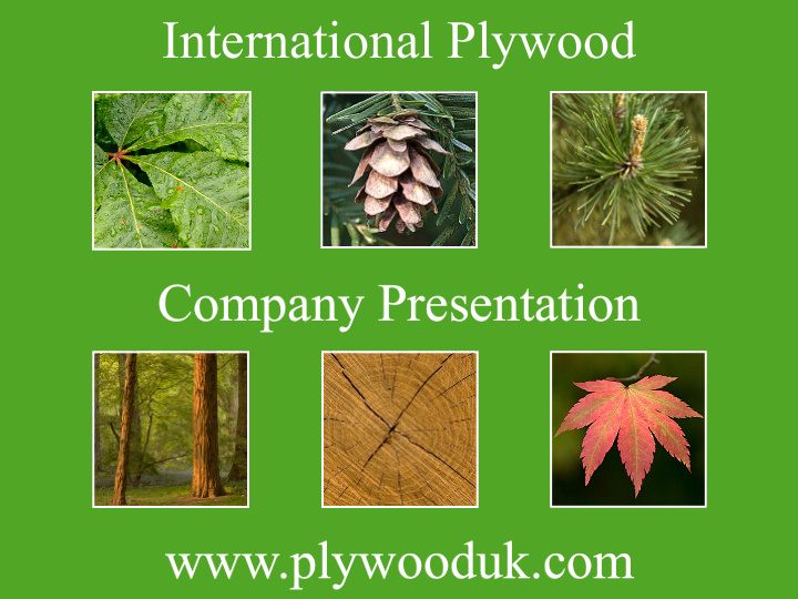 international plywood company presentation plywooduk com