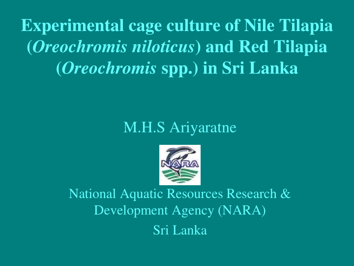 experimental cage culture of nile tilapia oreochromis