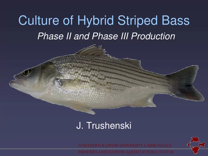 culture of hybrid striped bass