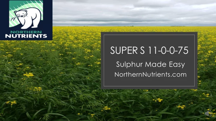 super s 11 0 0 75