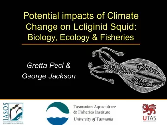 Potential impacts of Climate  Change on Loliginid Squid:  Biology, Ecology &amp; Fisheries  Gretta