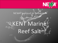 kent marine reef salt