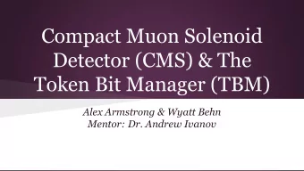 Token Bit Manager (TBM)  Alex Armstrong &amp; Wyatt Behn  Mentor: Dr. Andrew Ivanov  CERN  Conseil