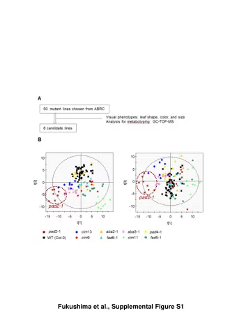Fukushima et al., Supplemental Figure S1  A Col - 0 +MV0.01  M +MV0.05  M +MV0.1  M  MS  B