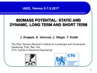 biomass potential static and