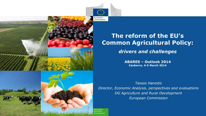 the reform of the eu s common agricultural policy