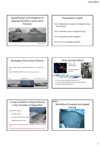 Presentation outline  slipping mortality in purse seine  fisheries  Part 1: Mortality of crowded