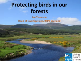Protecting birds in our  forests  Ian Thomson  Head of Investigations, RSPB Scotland  Despite