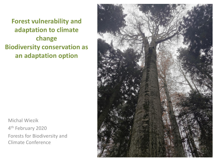 forest vulnerability and adaptation to climate change