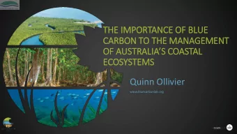 CARBON TO THE MANAGEMENT  OF AUSTRALIAS COASTAL  ECOSYSTEMS  Quinn Ollivier