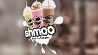 THE MILK SHAKE MARKET  The Milk Shake mix market is worth in excess of  30m  3 0m in the UK**