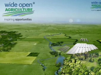 Foodbelt  - Creating a food system that regenerates landscapes and  revitalises communities -  OUR