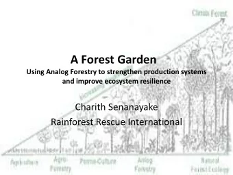 A Forest Garden  Using Analog Forestry to strengthen production systems and improve ecosystem