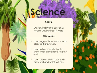 Science  Year 2  Science  Observing Plants Lesson 2 Week beginning 4 th May  Plants This week