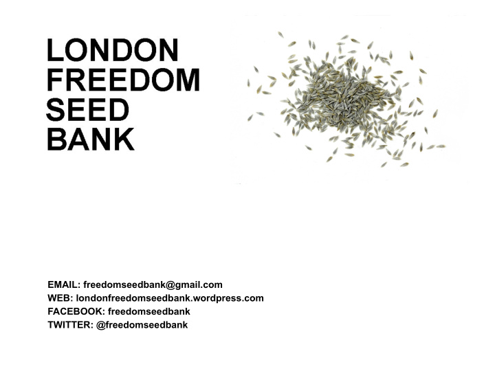 email freedomseedbank gmail com web londonfreedomseedbank