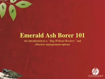 Emerald Ash Borer 101 An introduction to a Bug Without Borders and  effective management