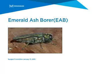 Emerald Ash Borer(EAB)  Budget Committee January 13, 2015  EAB Infestation  2009    2011