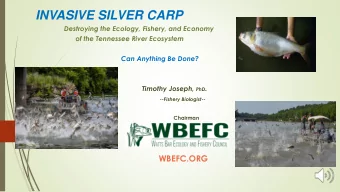 INVASIVE SILVER CARP  Destroying the Ecology, Fishery, and Economy  of the Tennessee River