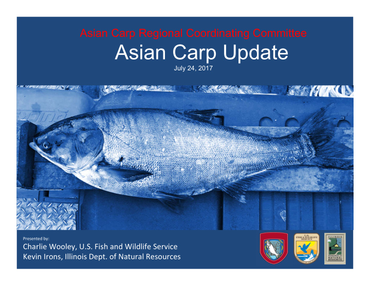 asian carp update