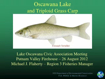 Oscawana Lake  and Triploid Grass Carp  Lake Oscawana Civic Association Meeting Putnam Valley