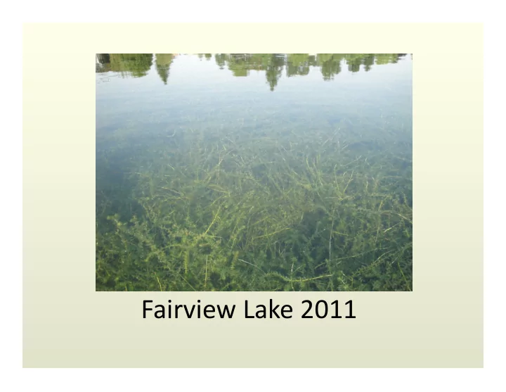 fairview lake 2011 annual members meeting