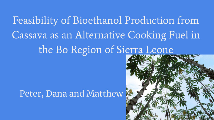 feasibility of bioethanol production from cassava as an
