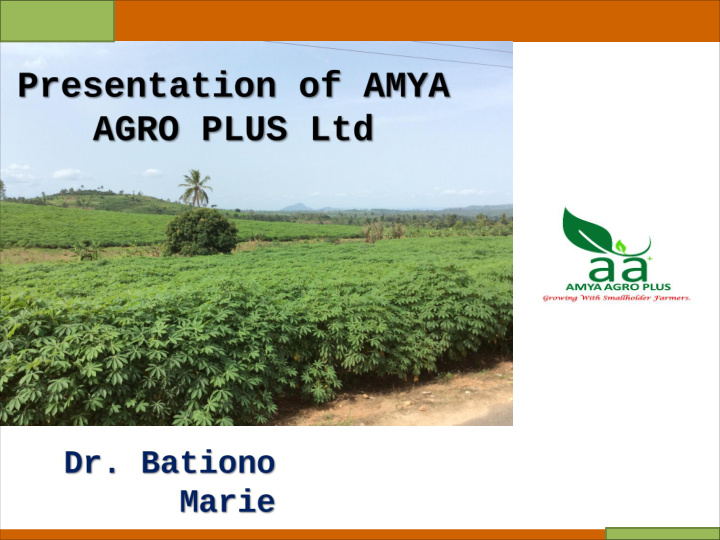 iita org i cgiar org amya agro plus