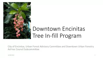 Downtown Encinitas  Tree In-fill Program  City of Encinitas, Urban Forest Advisory Committee and