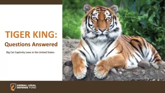 TIGER KING:  Questions Answered  Big Cat Captivity Laws in the United States  The Problem 5,000 to