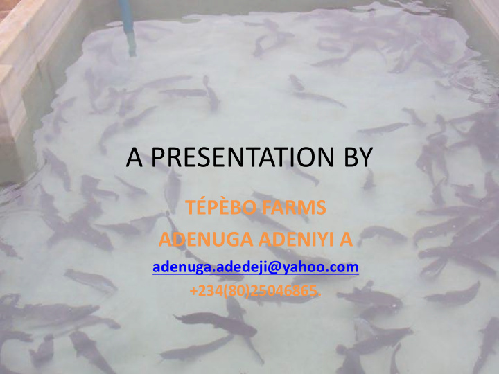 a presentation by