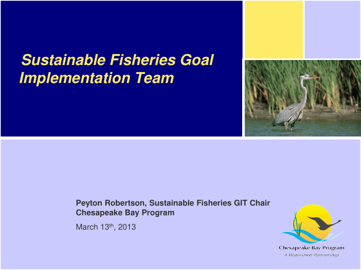 sustainable fisheries goal implementation team