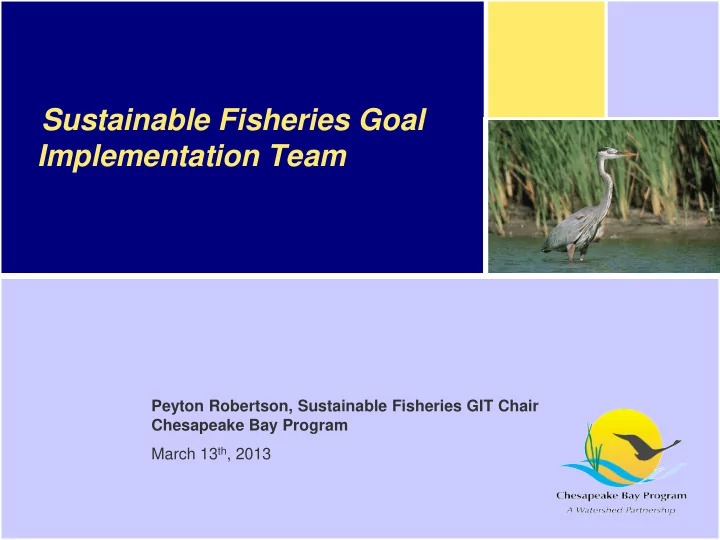 sustainable fisheries goal implementation team