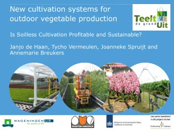 New cultivation systems for  outdoor vegetable production  Is Soilless Cultivation Profitable and