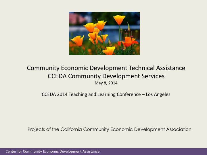 center for community economic development assistance