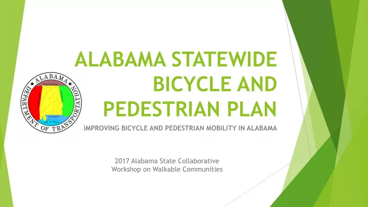 pedestrian plan