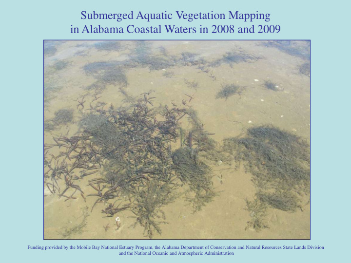 submerged aquatic vegetation mapping in alabama coastal