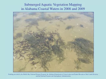 Submerged Aquatic Vegetation Mapping  in Alabama Coastal Waters in 2008 and 2009  Funding provided