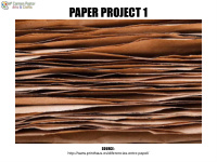 paper project 1