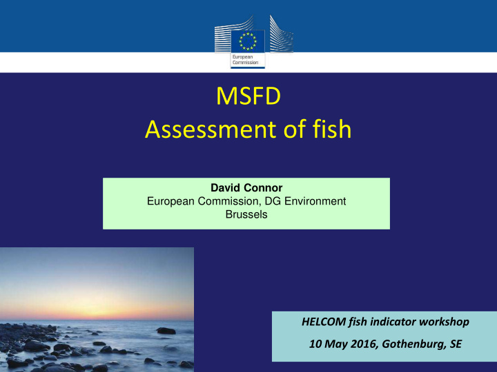 assessment of fish