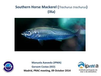 Southern Horse Mackerel ( Trachurus trachurus )  (IXa)  Manuela Azevedo (IPMA)  Gersom Costas (IEO)