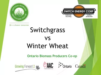 Switchgrass  vs  Winter Wheat  Ontario Biomass Producers Co-op  Wheat Straw  If your farm
