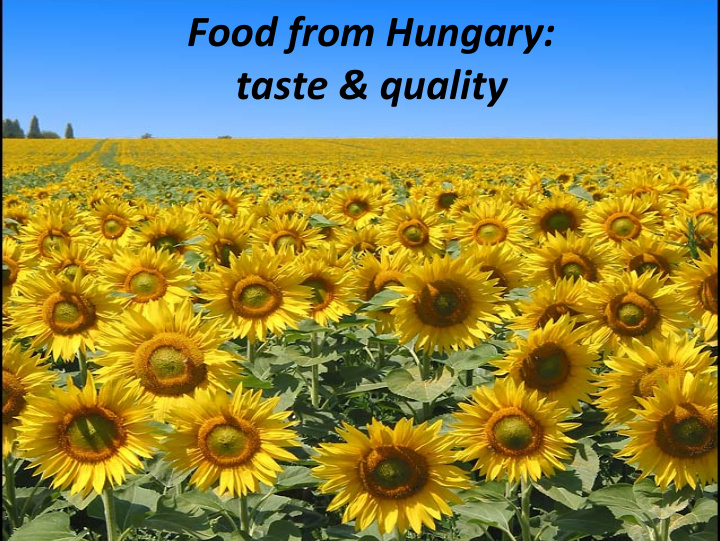 food from hungary taste quality food processing industry