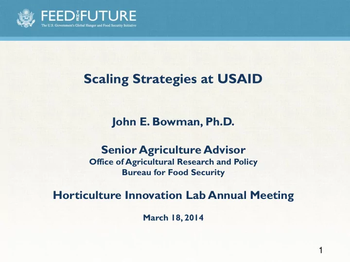 scaling strategies at usaid