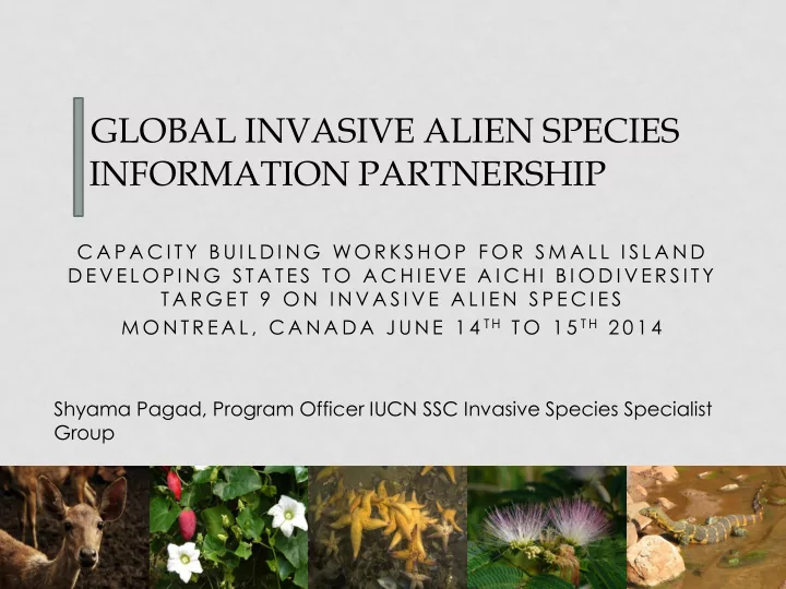 global invasive alien species information partnership the