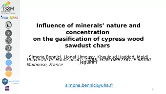 Infmuence of minerals nature and  concentration  on the gasifjcation of cypress wood  sawdust