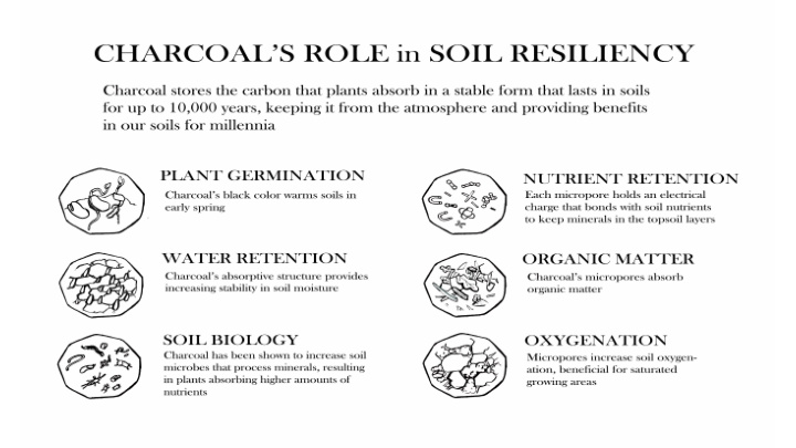 glaser et al 2007 biochar meta anlysisstudies