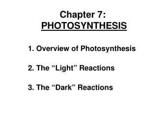 Chapter 7:  PHOTOSYNTHESIS  1. Overview of Photosynthesis  2. The Light Reactions  3. The