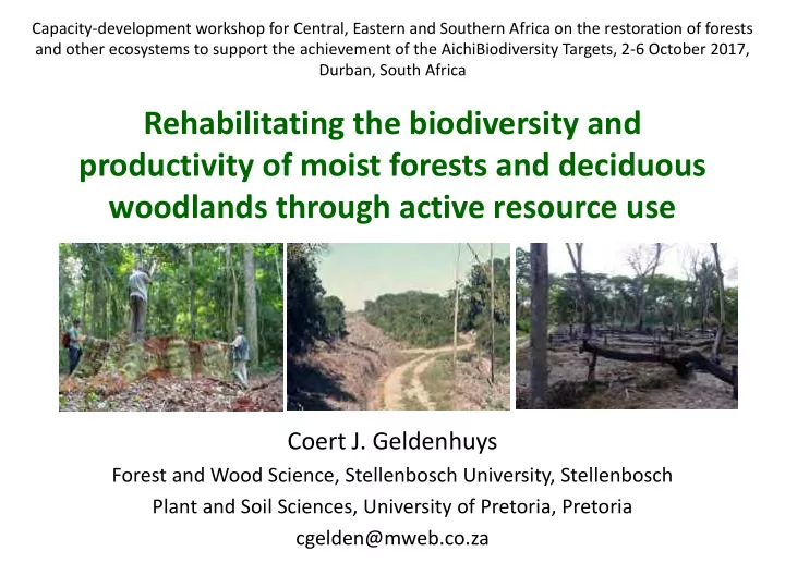 rehabilitating the biodiversity and productivity of moist