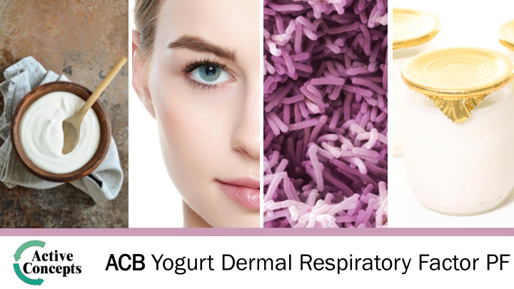 acb yogurt dermal respiratory factor pf 20224pf acb
