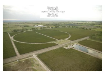 Who is Ernesto Catena?  Ernesto Catena is  a 4th Generation winegrower.  Part of one of